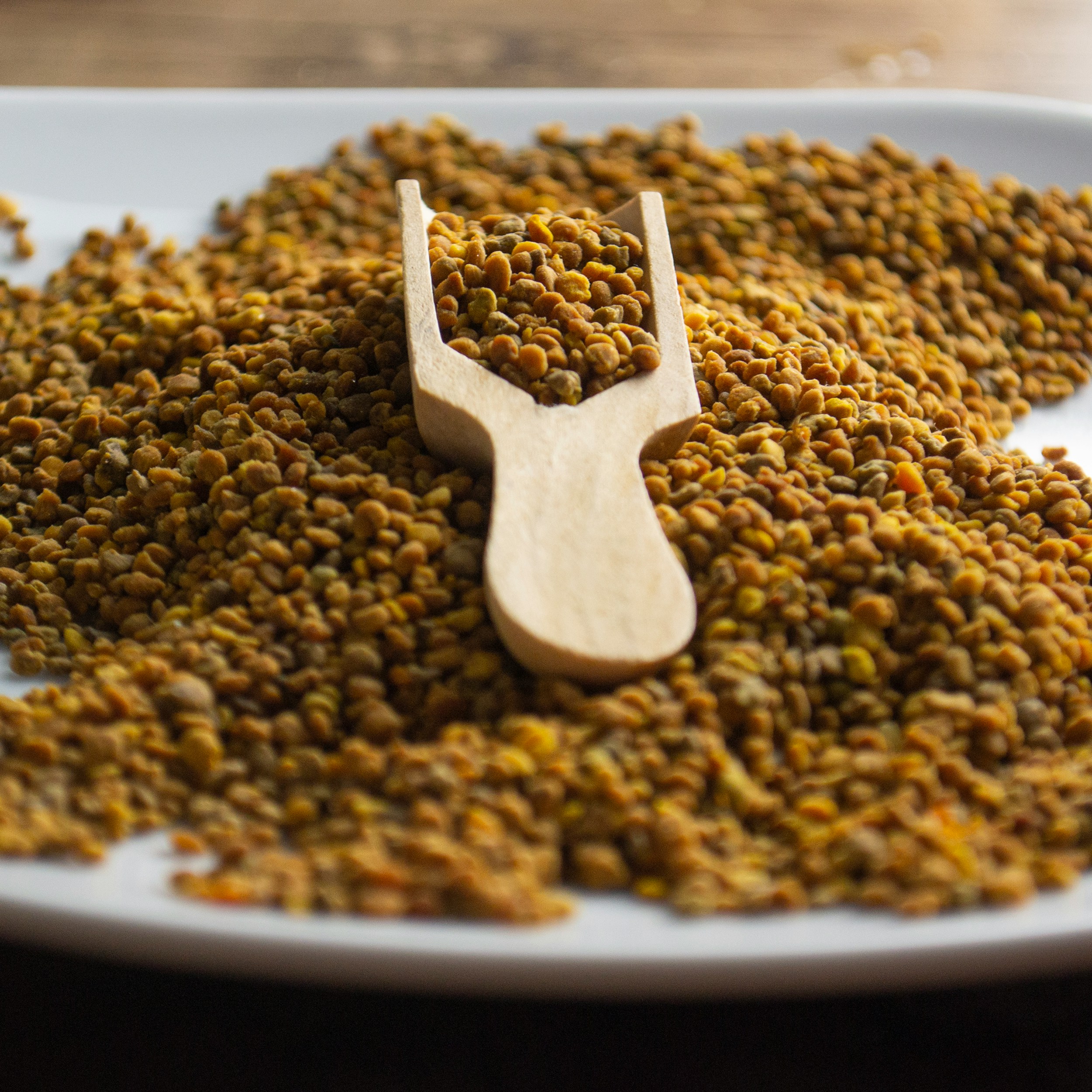 Fenugreek Seeds